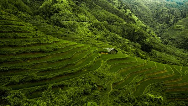 Circuit vietnam 15 jours : explorez les incontournables en toute sérénité